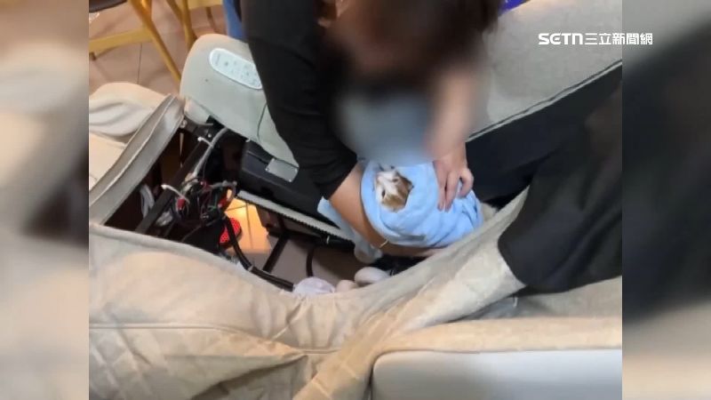 台灣新聞通訊社-搶救喵喵大作戰！幼貓卡「按摩椅」驚動消防隊　飼主心疼：拆除沒關係