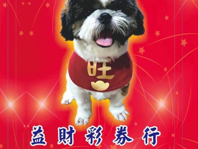 台灣新聞通訊社-想中樂透？闆娘揭「中獎體質」秘密　進店先做「這」動作：機率狂飆