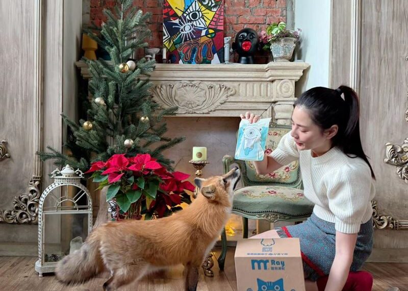 台灣新聞通訊社-前名模蕭瑋葶涉「聯手兄嫂吞逾億善款」遭押7個月…今5百萬交保