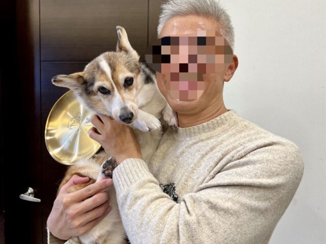 台灣新聞通訊社-虐柯基片瘋傳！手搖飲老闆配偶發聲明：看影片才知情，已帶犬貓分居