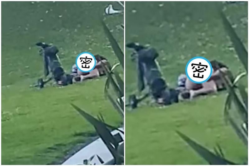 台灣新聞通訊社-1男1女在第16洞果嶺上「肉體一桿進洞」 人妻直擊野戰LIVE秀傻眼PO網