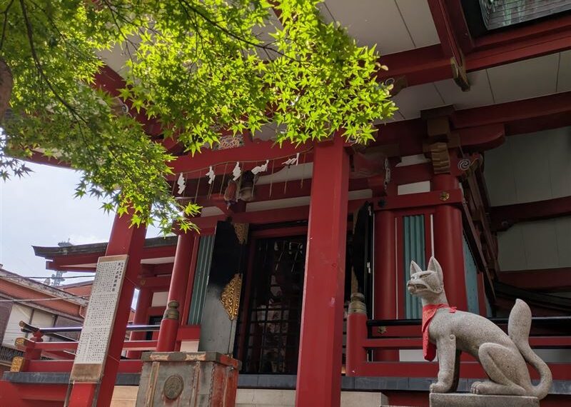 台灣新聞通訊社-毛小孩就是自己孩子！日本傳統兒童節日　給狗狗穿和服