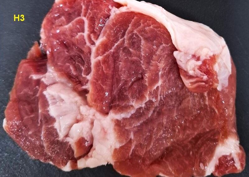 台灣新聞通訊社-解鎖豬肉「美味基因」!畜試所找到3關鍵 口感大升級