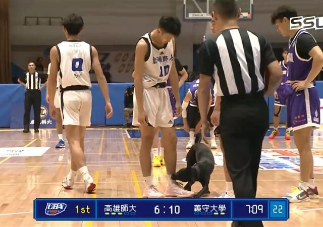 台灣新聞通訊社-UBA比賽一半！黑狗「亂入」狂咬球員粉紅球鞋　工作人員緊急現場抓狗
