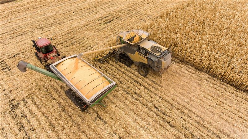 台灣新聞通訊社-田鼠沒捕到「夾雙狗」噴1.5萬元⋯台南農民怒請法官主持公道！結果出爐