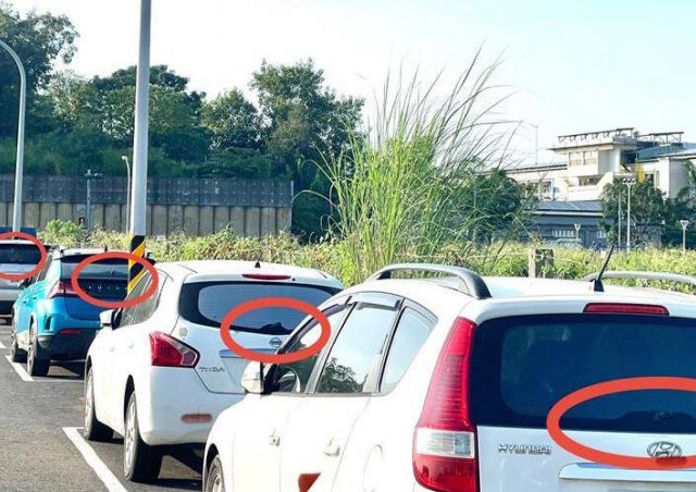 台灣新聞通訊社-高雄大寮「雨刷殺手」出沒多車受害　警埋伏逮72歲翁