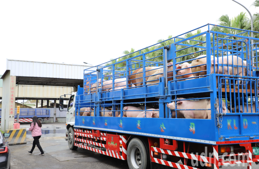 台灣新聞通訊社-中央將實施全面禁用廚餘 張麗善喊樂見其成：要有配套措施