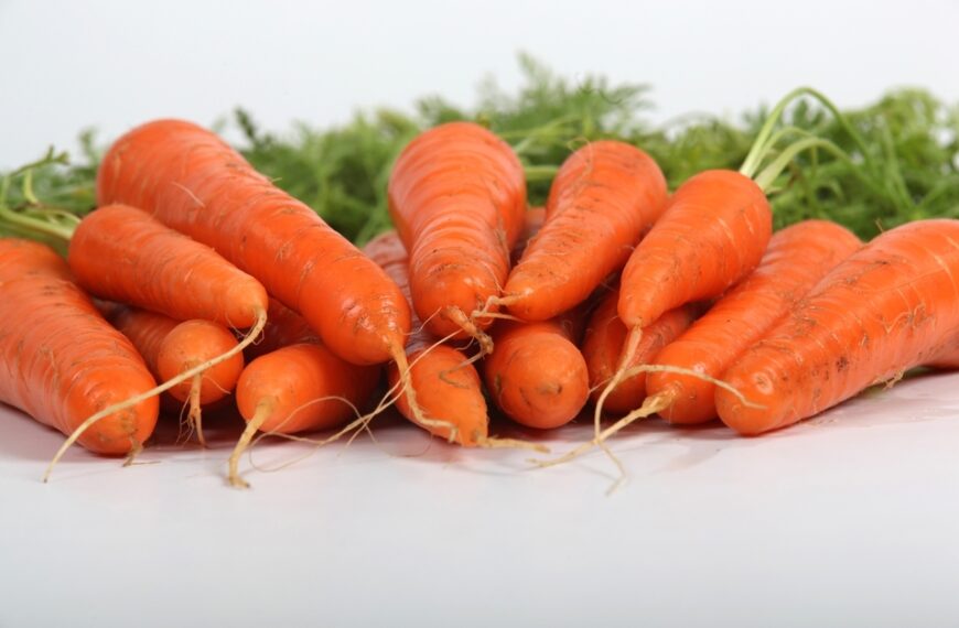 台灣新聞通訊社-不要白忙！胡蘿蔔、牛蒡連皮吃最營養 主廚都靠1招免怕吃到土