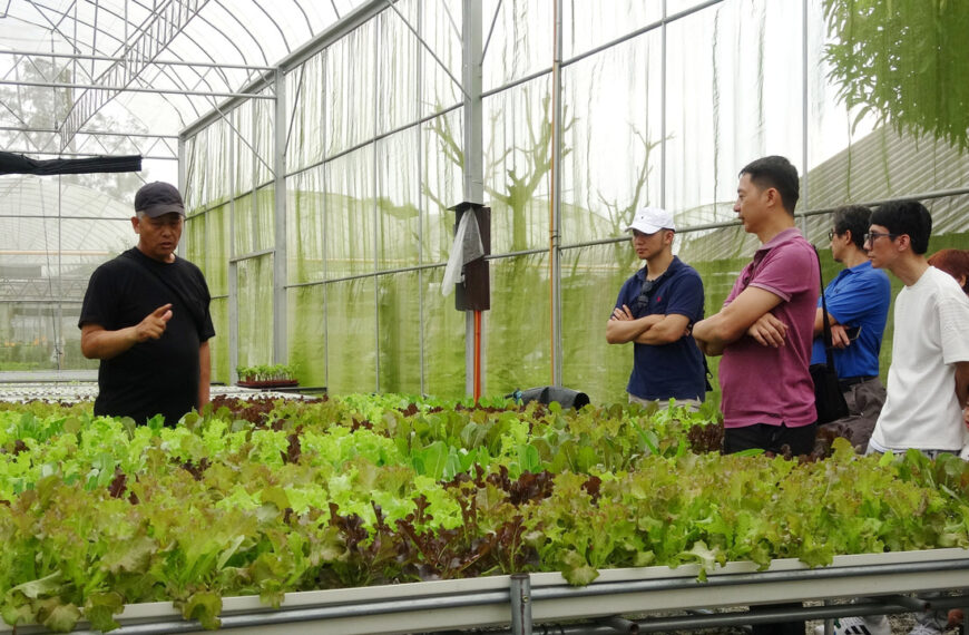 台灣新聞通訊社-百貨主管變農夫 黃禹靖將台灣蔬菜推上菲律賓餐桌