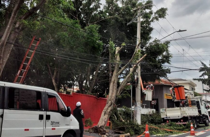台灣新聞通訊社-聖保羅強風暴雨釀大停電航班混亂 專家示警危機未解