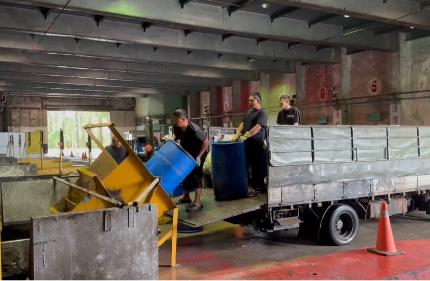 台灣新聞通訊社-中央禁廚餘養豬「下有對策」 北市環保局：免費銷毀延至12月31日