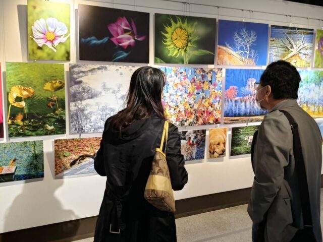 台灣新聞通訊社-兩岸青少年美術展300幅作品移師台北 生命萬象新北學生共繪島嶼記憶