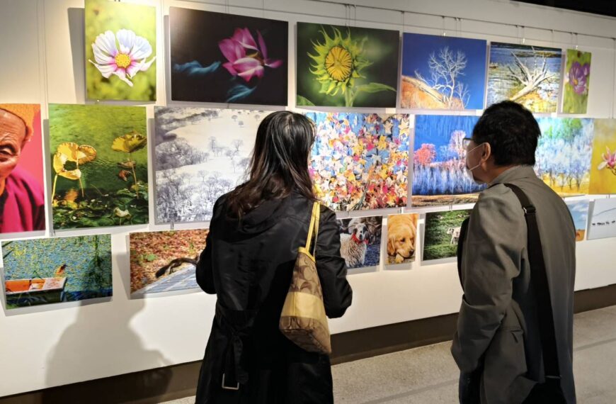 台灣新聞通訊社-兩岸青少年美術展300幅作品移師台北 生命萬象新北學生共繪島嶼記憶