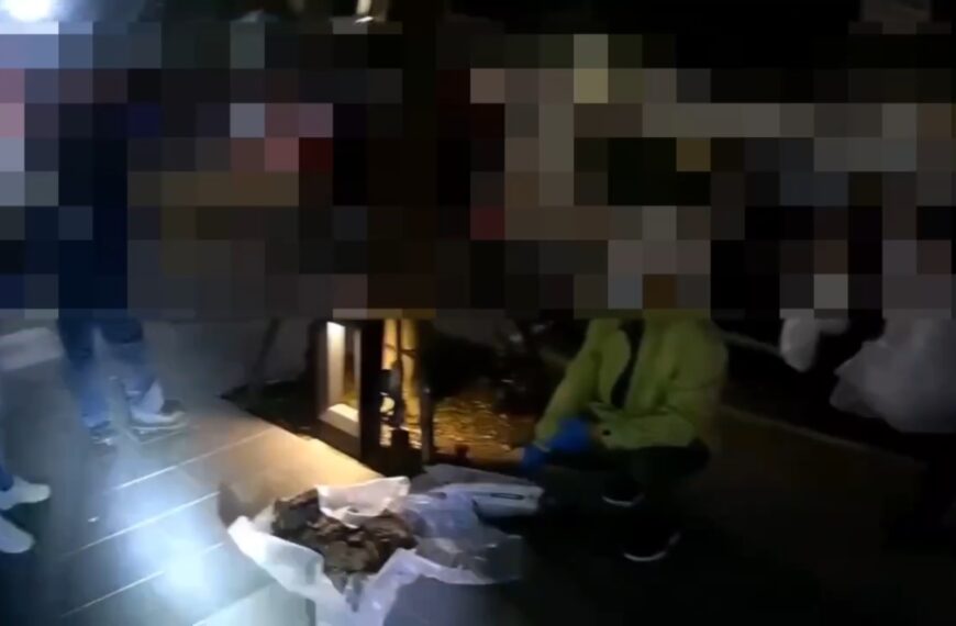 台灣新聞通訊社-14貓慘死… 曝飼主網路上長期領養 北市動保處嘆管理困境