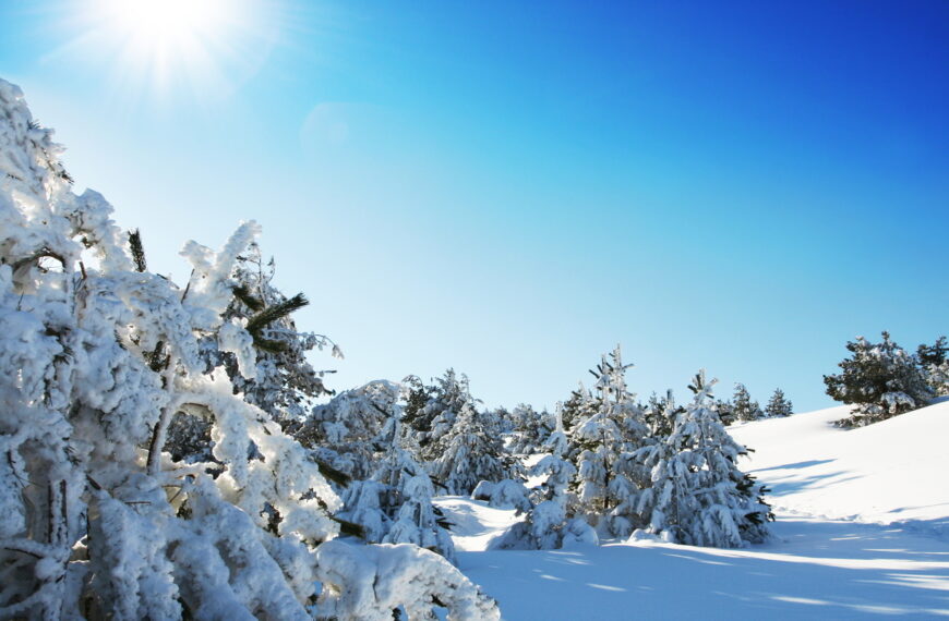 台灣新聞通訊社-周日迎「大雪」!命理師曝禁忌:睡覺不要蓋住頭、快吃七類食物