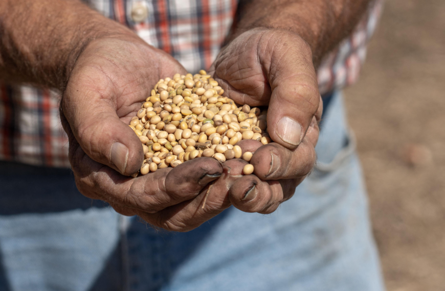 台灣新聞通訊社-美國貿易代表證實大陸履約 已完成本季三分之一黃豆採購