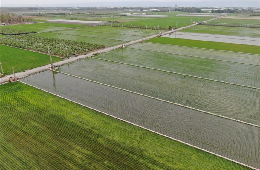 台灣新聞通訊社-彰化縣標售26筆農地重劃抵費地 每坪底價從4千到1.8萬元