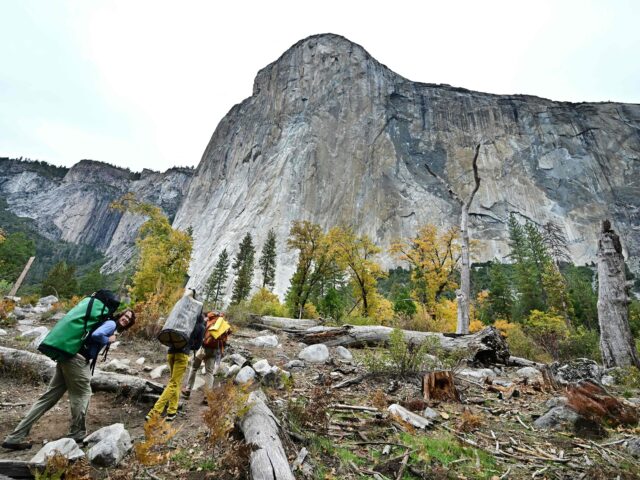 台灣新聞通訊社-移除馬丁路德紀念日、六月節 新添川普生日免費入場國家公園