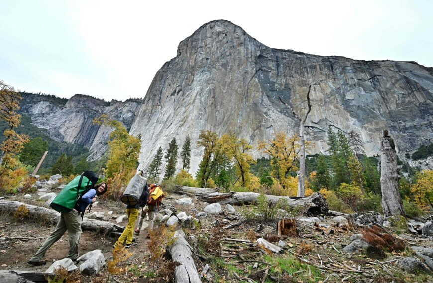 台灣新聞通訊社-移除馬丁路德紀念日、六月節 新添川普生日免費入場國家公園