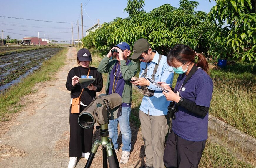 台灣新聞通訊社-丹娜絲颱風造成菱角田受損 台南官田水雉冬季族群較去年減少95隻