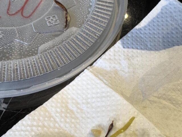 台灣新聞通訊社-吃麵吃到2隻蟑螂腳！ 民眾崩潰「其他部位去哪？」南市衛生局要查了