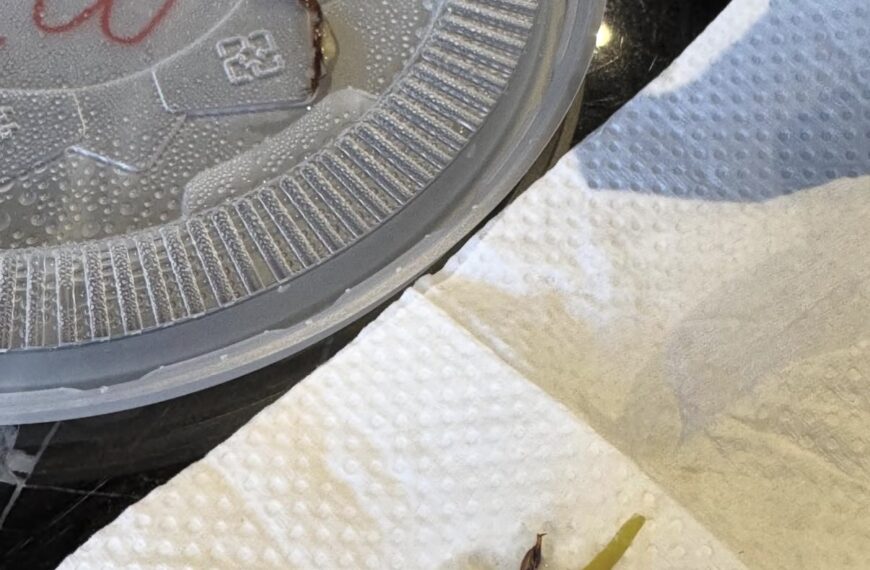 台灣新聞通訊社-吃麵吃到2隻蟑螂腳！ 民眾崩潰「其他部位去哪？」南市衛生局要查了