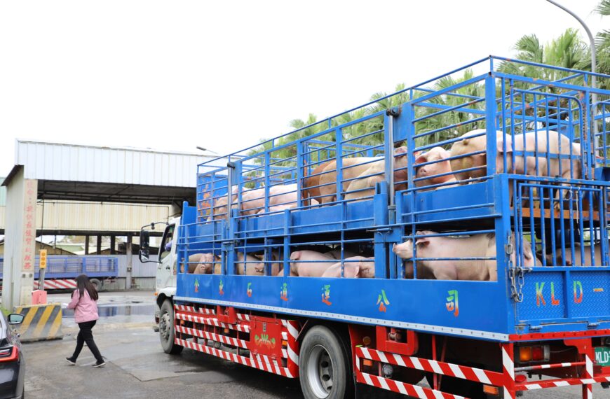 台灣新聞通訊社-菲律賓對台發布豬肉禁令 農業部:對我影響有限