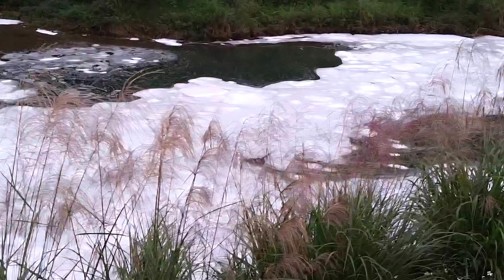 台灣新聞通訊社-基隆暖暖溪大量不明泡沫追來源 環保局：初判無油汙疑生活廢水