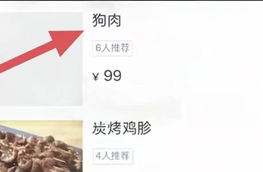 台灣新聞通訊社-中國長沙燒烤店疑直播煮貓爪惹眾怒 商家澄清為狗肉:無違法