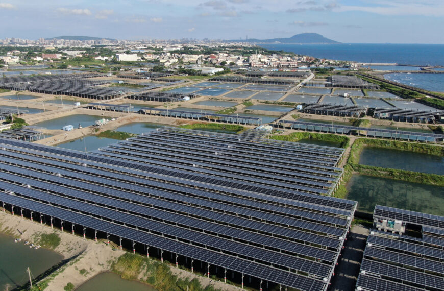 台灣新聞通訊社-【專家之眼】共生還是共爭?台灣走味的農漁電共生