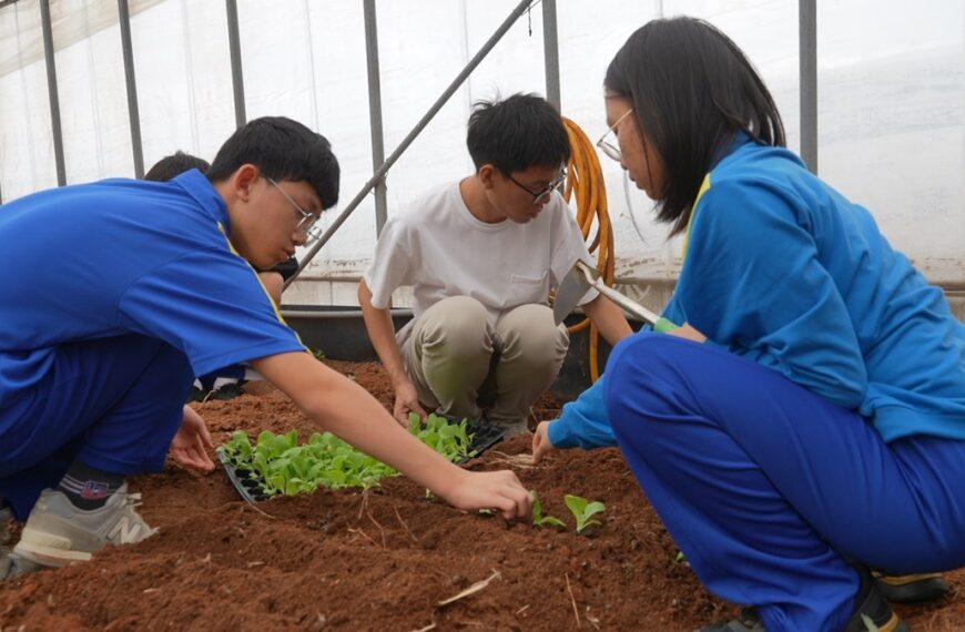 台灣新聞通訊社-「心靈獲得富足」石門實中食農教育課程 學生大讚吐真實心聲