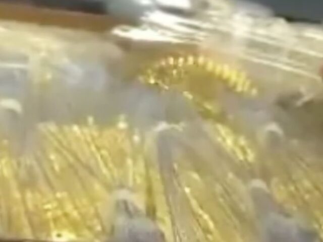 台灣新聞通訊社-市值9200萬！12公斤黃金新員工「忘在高鐵」列車長：20年來撿過最貴的