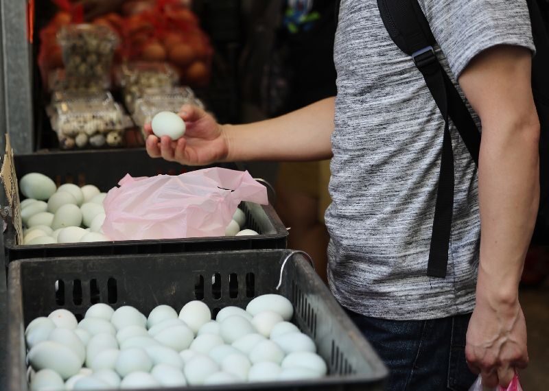 台灣新聞通訊社-蛋價每台斤漲3元 天冷供給少、火鍋店需求大