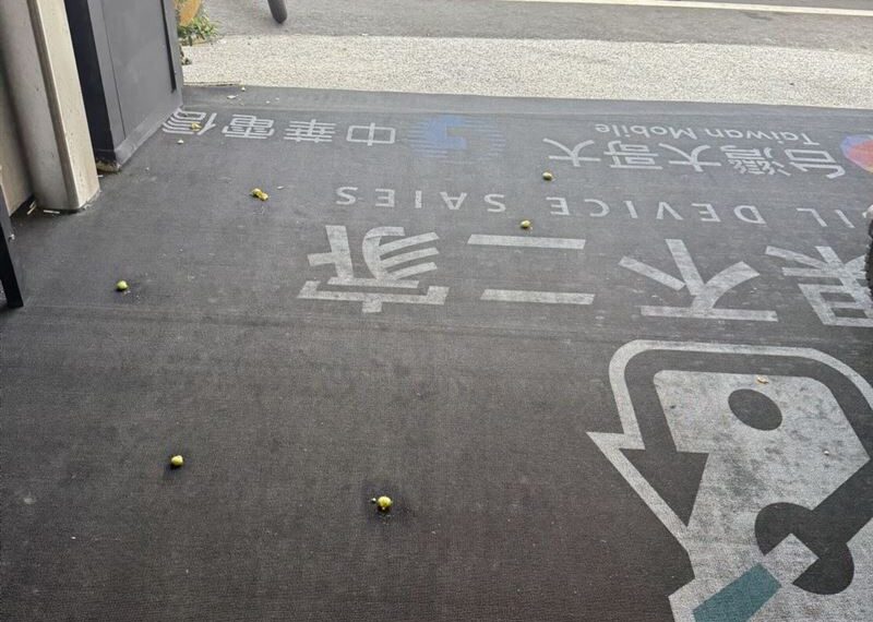 台灣新聞通訊社-2童摘果實搗蛋畫面曝光　女店員見滿地「爆桔」調監視器：不會教不要生