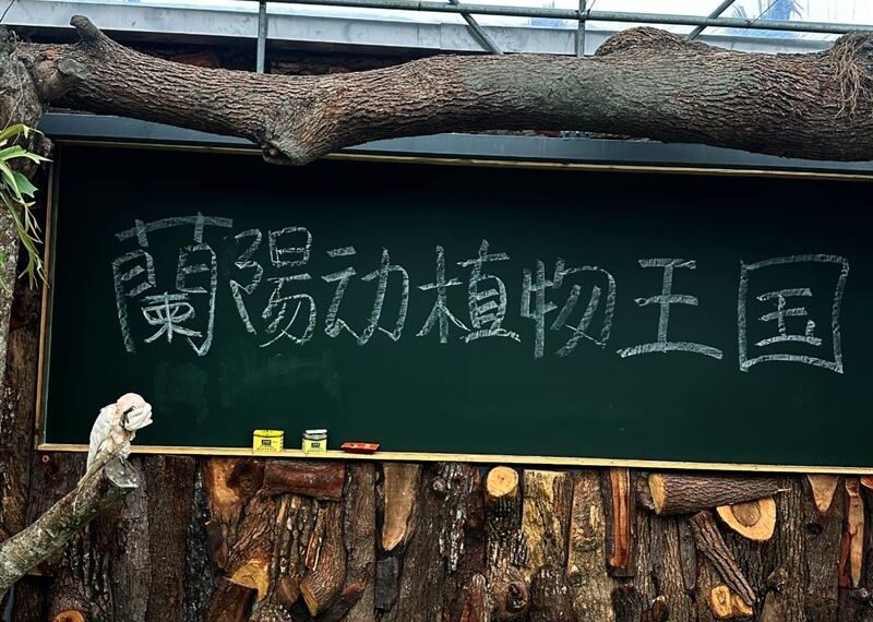 台灣新聞通訊社-宜蘭親子景點一堆簡體字！遭轟爆「以為在中國」　業者急喊：我們改