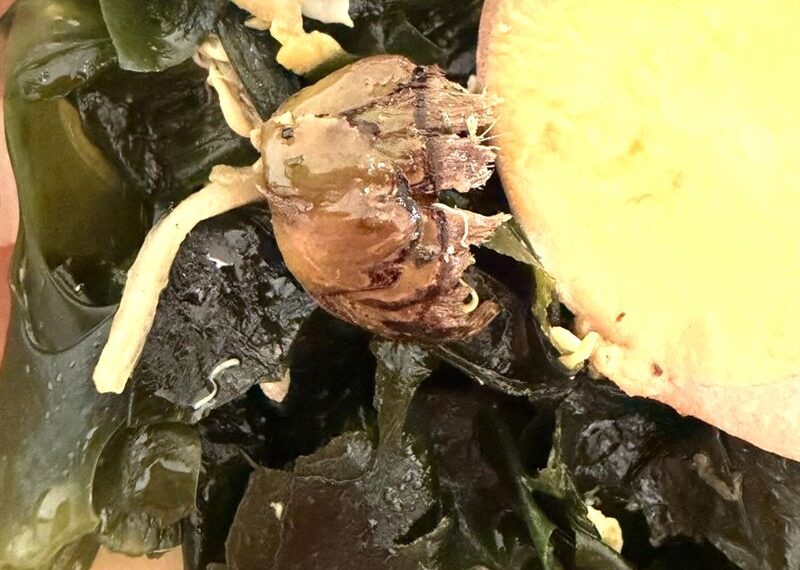 台灣新聞通訊社-屏東池上便當吃到「檳榔蒂」快吐⋯她氣炸怒刷1星負評！業者回應了