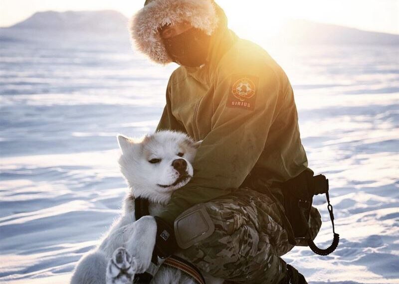 台灣新聞通訊社-揭川普瞧不起的「狗拉雪橇」！全球唯一特種雪橇部隊　-55度極凍保疆土