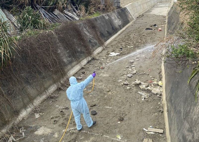 台灣新聞通訊社-苗栗大排235隻死雞確診禽流感　疑台中養雞場棄置　鍾東錦怒：重罰100萬