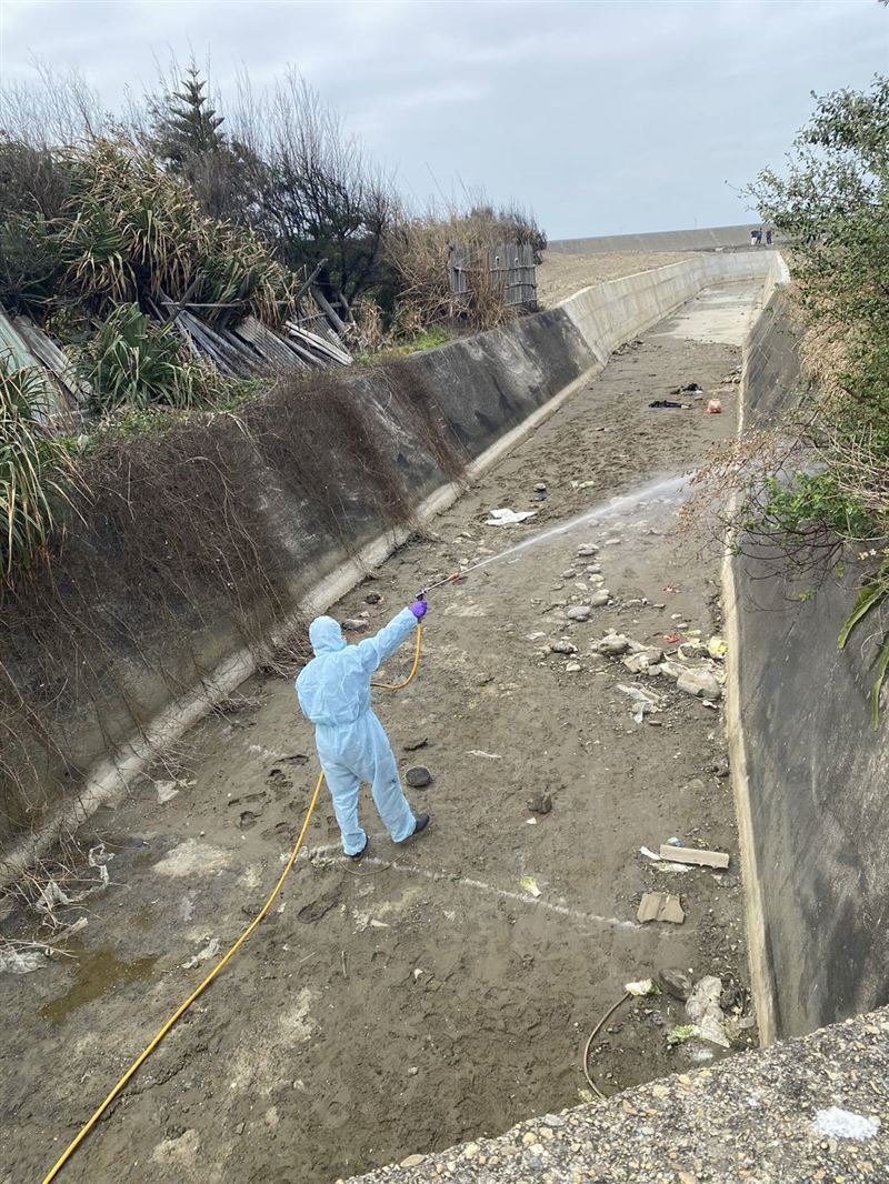 台灣新聞通訊社-苗栗大排235隻死雞確診禽流感　疑台中養雞場棄置　鍾東錦怒：重罰100萬