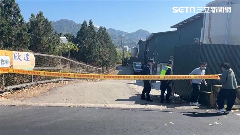 台灣新聞通訊社-豐原蛋雞場爆禽流感！好人好事老闆涉隱匿病情…花園埋屍、死雞裝袋外拋