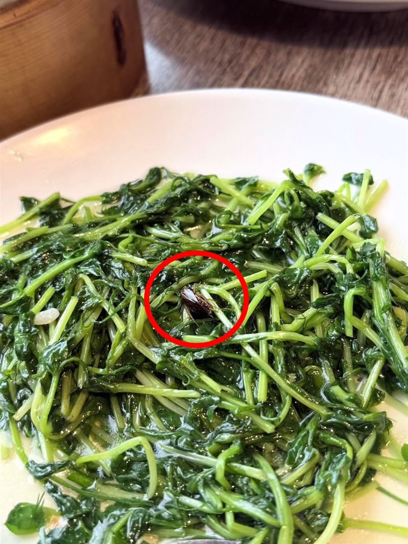 台灣新聞通訊社-噁！知名港點「吃到大蟑螂屍」客當場乾嘔、衝廁所漱口　業者道歉了