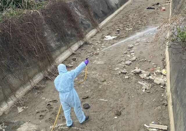 台灣新聞通訊社-今年已7案場爆禽流感！石崇良：雞蛋傳播機率低、「禽傳人」列重點監測