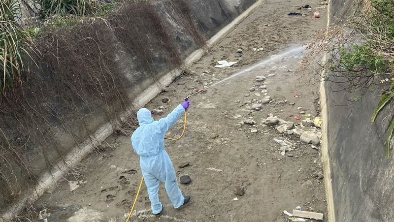 台灣新聞通訊社-今年已7案場爆禽流感！石崇良：雞蛋傳播機率低、「禽傳人」列重點監測