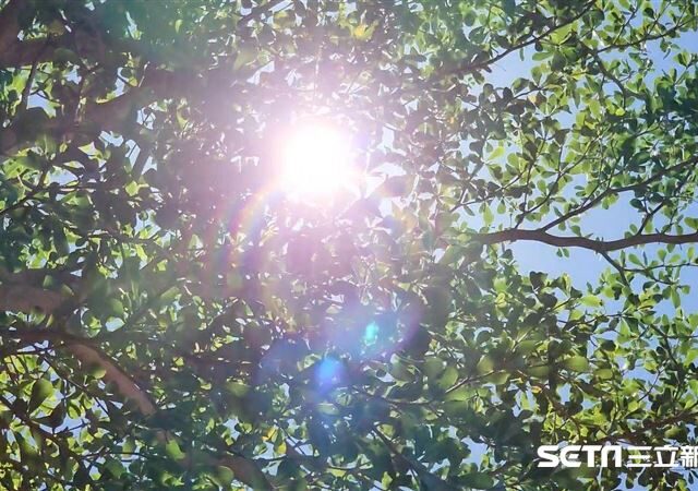 台灣新聞通訊社-週一起連暖5天「直飆28度」！1號颱風恐生成　對台影響曝