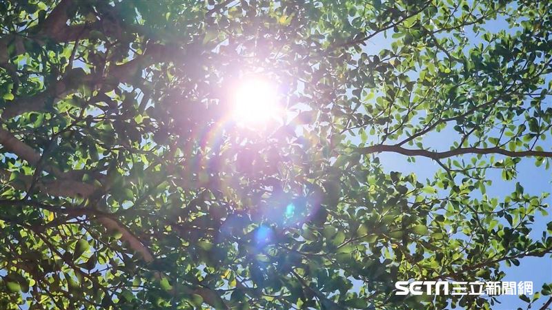 台灣新聞通訊社-週一起連暖5天「直飆28度」！1號颱風恐生成　對台影響曝