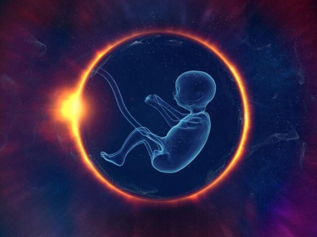 台灣新聞通訊社-一次代孕200孩！美、中富豪「荒誕百孩夢」　代理孕母成富人生產機器