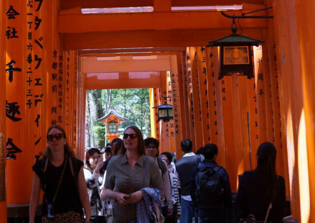 台灣新聞通訊社-京都伏見稻荷大社亂象頻傳！遊客瘋刻「到此一遊」 百棵竹子面目全非