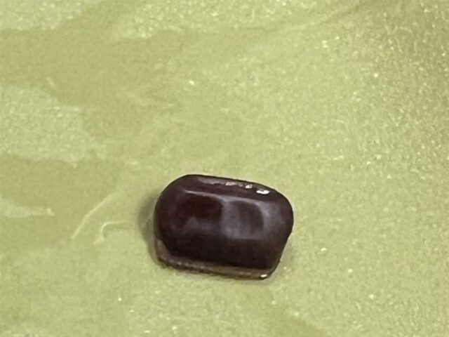 台灣新聞通訊社-「大茗」加料蟑螂蛋！店員捏爆噴汁辯：是蕎麥　中市府食安處出手了