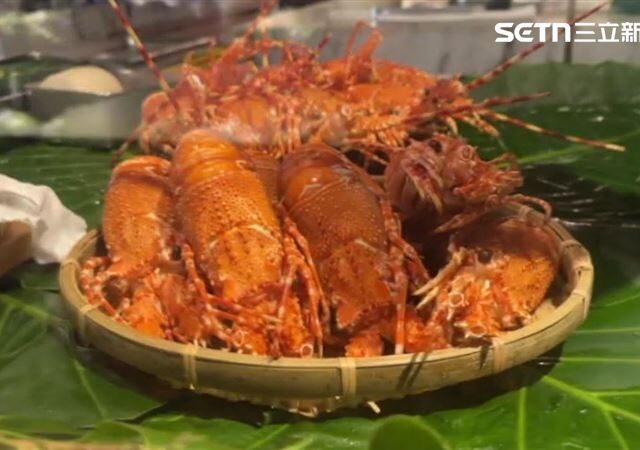 台灣新聞通訊社-親中欺台代價慘重！古巴龍蝦銷台腰斬　川普補刀斷油恐致政權崩潰