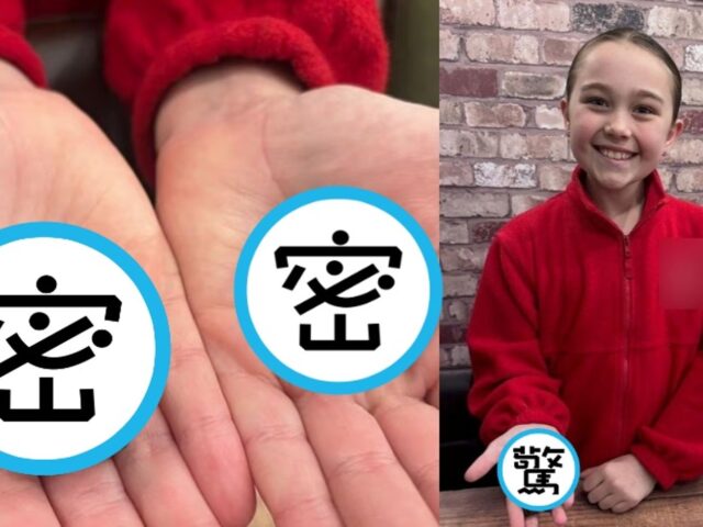 台灣新聞通訊社-9歲童海灘發現「45億年前隕石」　專家鑑定：可能來自消失行星